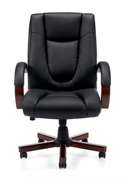 Luxhide Executive Chair with Wood Arms and Base - JD11300B - Joe's Discount Office Furniture